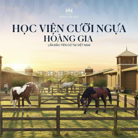 Học viện cưỡi ngựa